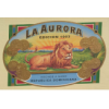 La Aurora 1903 Edition