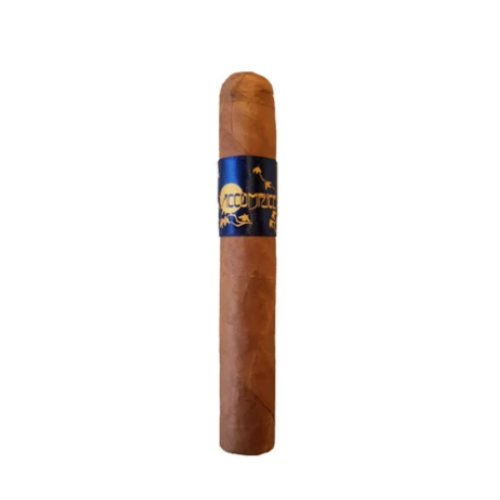 Сигары Principle Cigars Accomplice Connecticut Blue Band Robusto